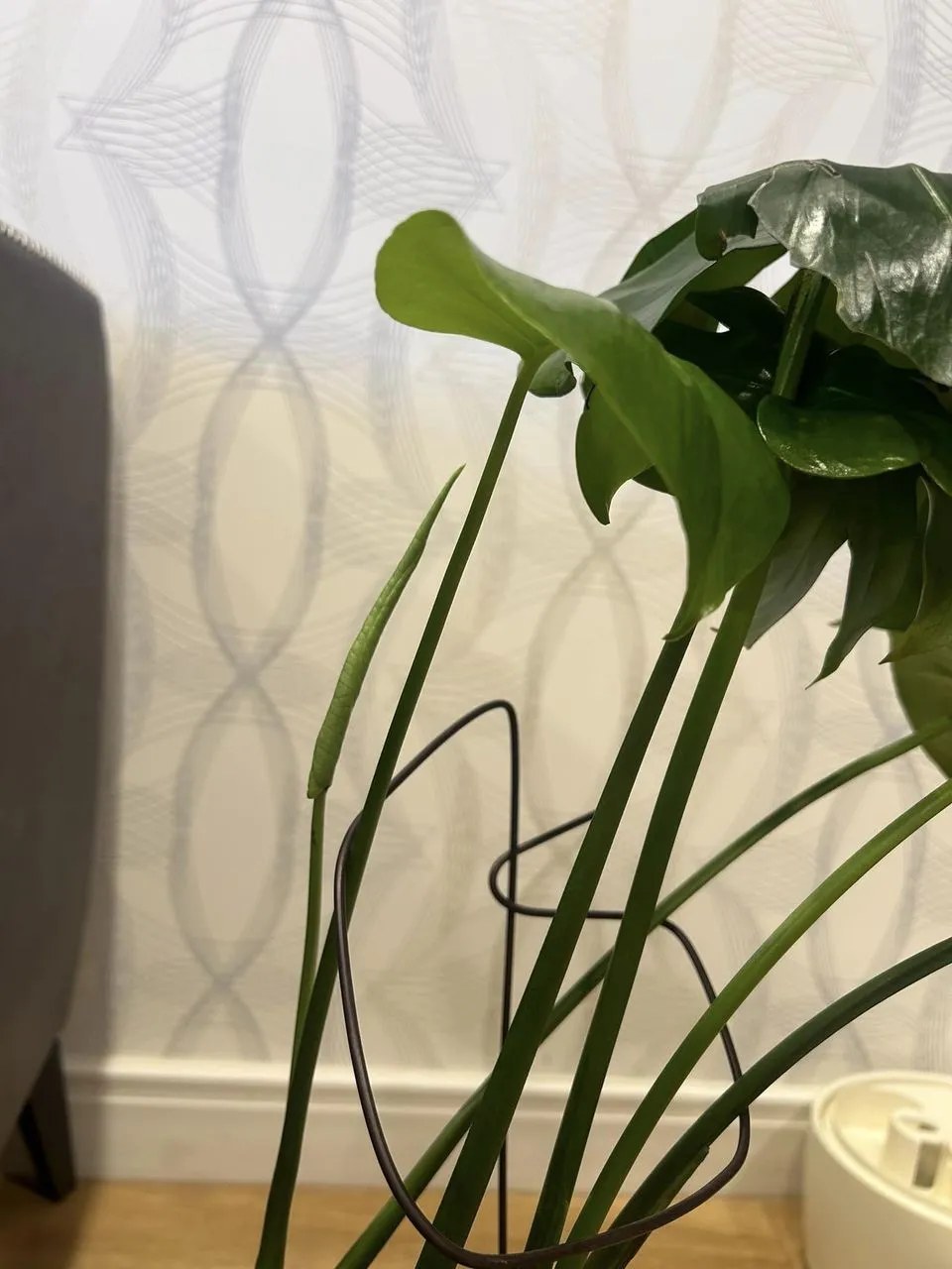 459362998_8803845053000939_7586941834052238498_n.jpg?stp=cp6_dst-jpg_p960x960&_nc_cat=104&ccb=1-7&_nc_sid=833d8c&_nc_aid=0&_nc_ohc=8oWOx-zlFdcQ7kNvgHv7tbk&_nc_zt=23&_nc_ht=scontent.fuln4-2.fna&_nc_gid=At6-EsS_PvqpRukt3HICcL6&oh=00_AYATnOJSVpFNlzCYxKbC2S34WOmBd1NLlDupuaak2v-rRA&oe=672287D7