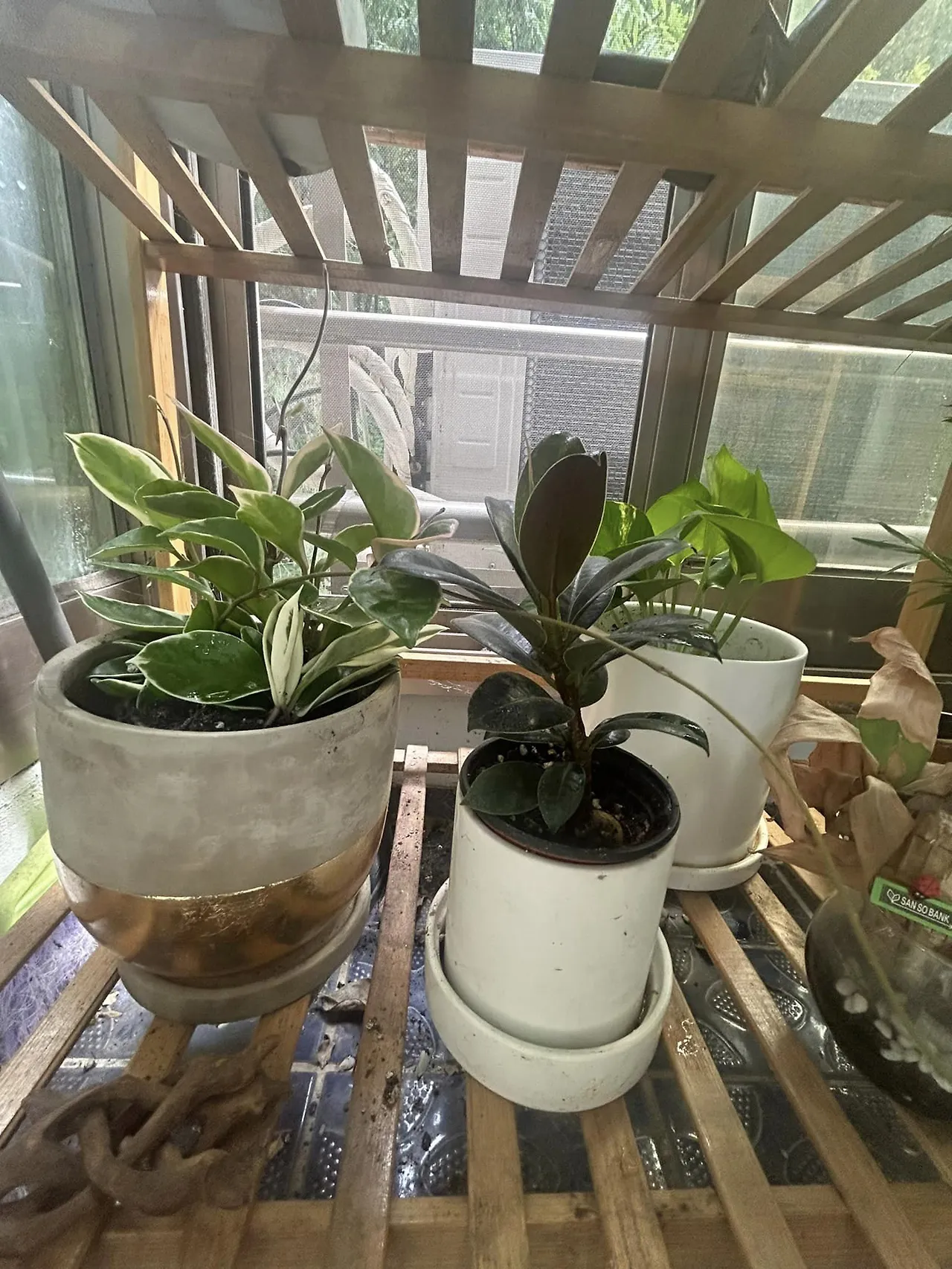 443719041_8179139095471541_1377325974949275043_n.jpg?stp=cp6_dst-jpg&_nc_cat=102&ccb=1-7&_nc_sid=5f2048&_nc_ohc=RkaWbPNkzMIQ7kNvgENTV9I&_nc_ht=scontent-ssn1-1.xx&oh=00_AYA_eRFN3Z2rPyIMO8CI6a9Fk0M2ipE35Z3k6YzQj-QNew&oe=6659D89B