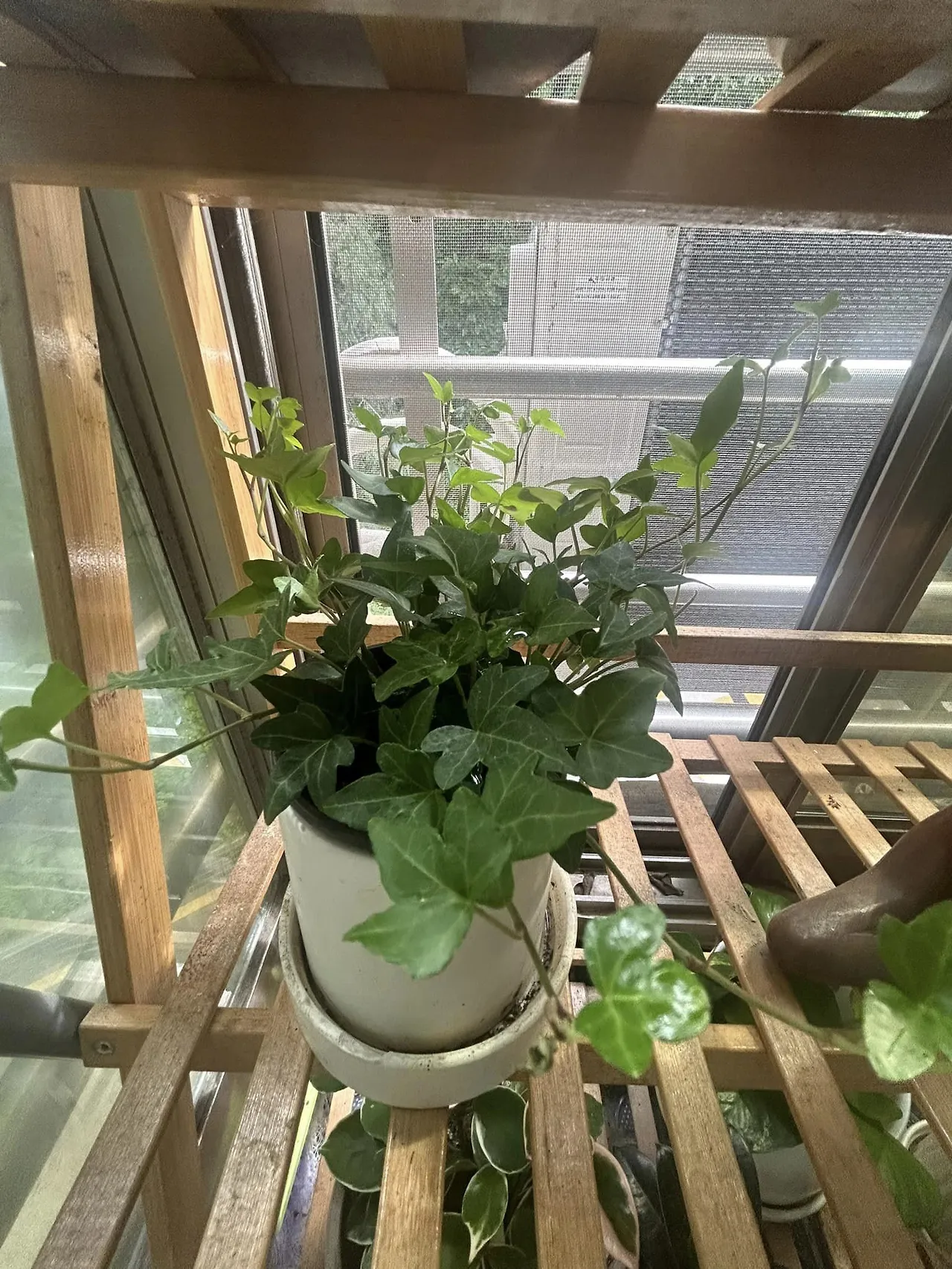 443718536_8179138888804895_7211738891682882818_n.jpg?stp=cp6_dst-jpg&_nc_cat=100&ccb=1-7&_nc_sid=5f2048&_nc_ohc=lPJKSClRPGsQ7kNvgGUPTph&_nc_ht=scontent-ssn1-1.xx&oh=00_AYAJRzd_Be0p-GvoNA02A32dKjEocuERtJ0S-ma5d_0QMw&oe=6659B009