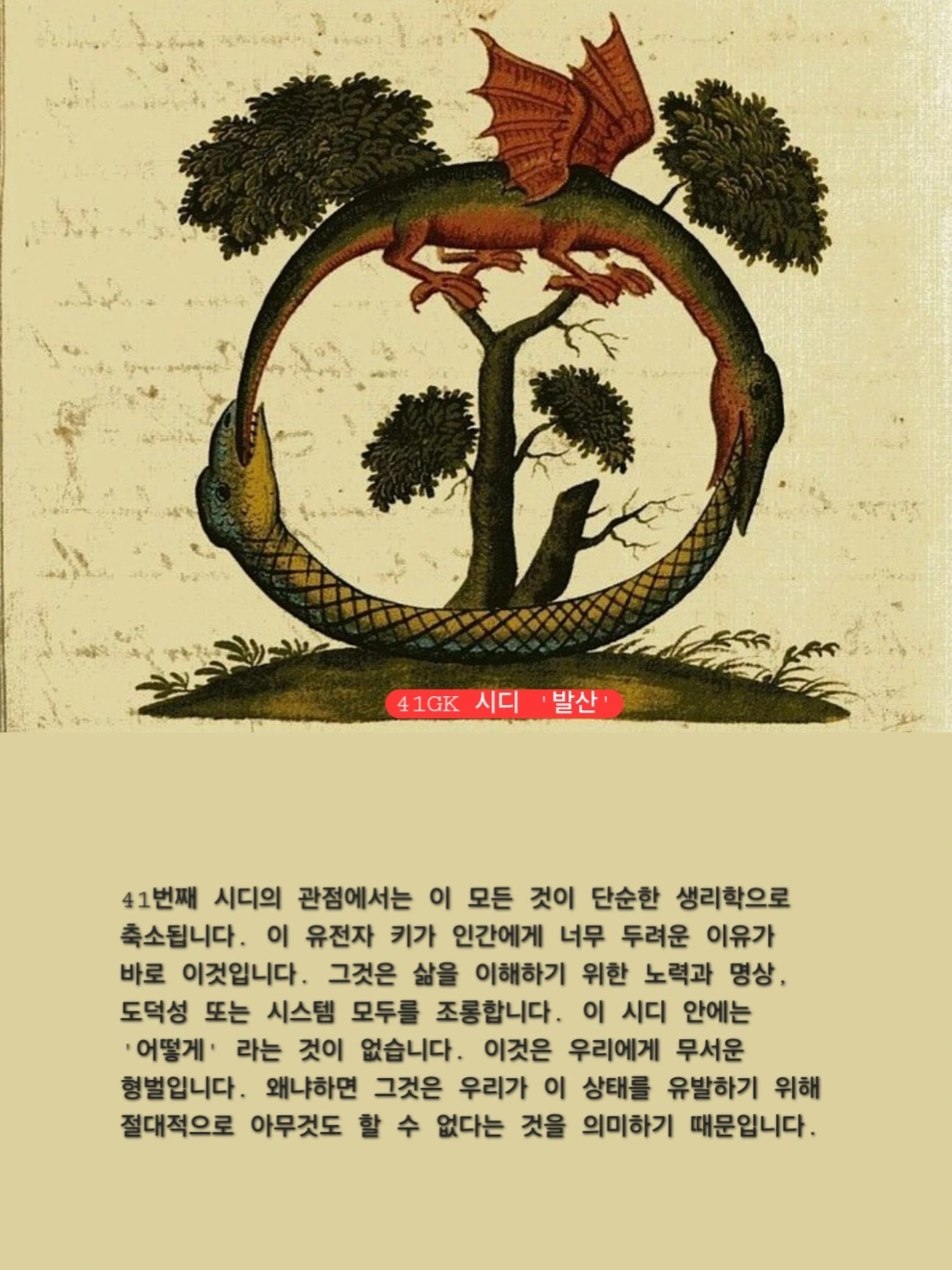 41번 유전자키 시디 판타지에서 발산으로.jpeg