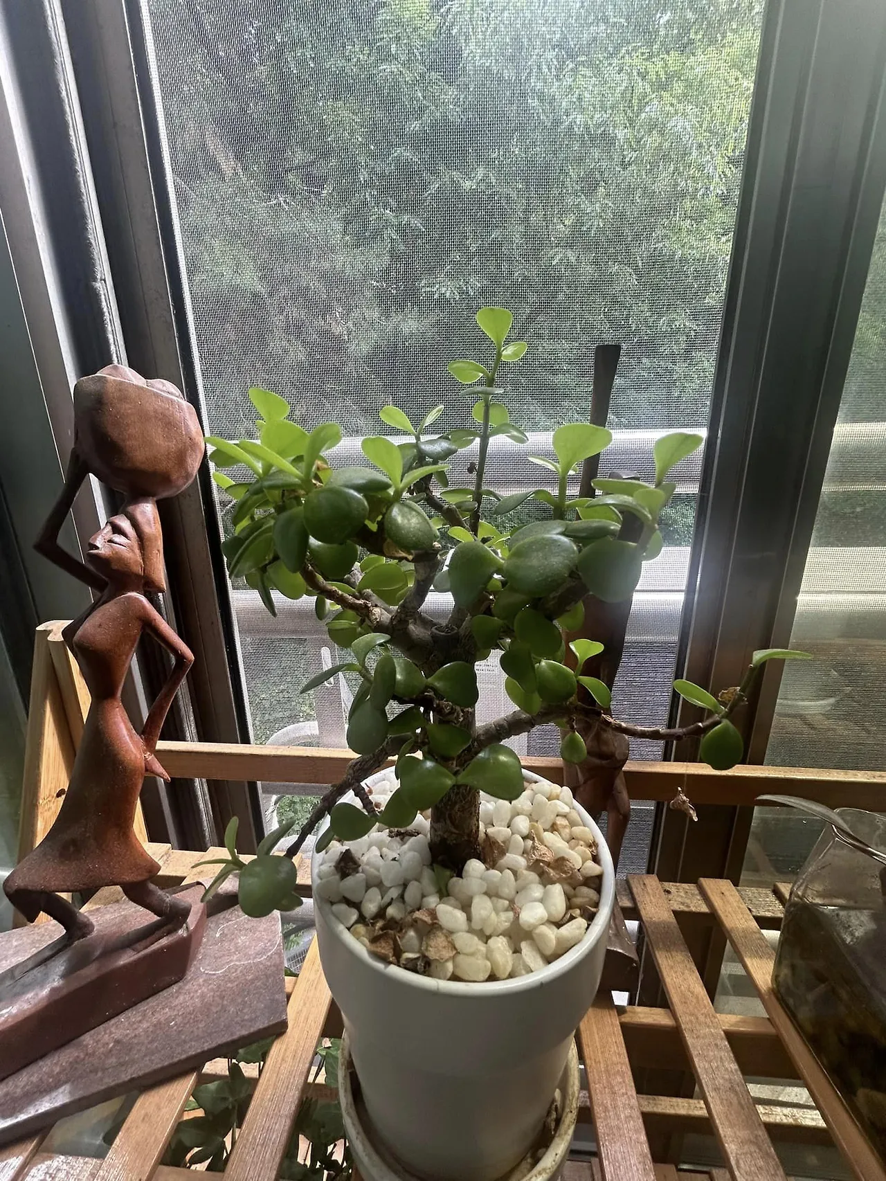 445209103_8179139372138180_5256879361917768320_n.jpg?stp=cp6_dst-jpg&_nc_cat=107&ccb=1-7&_nc_sid=5f2048&_nc_ohc=SmJ-jFGt7yMQ7kNvgFW0qk1&_nc_ht=scontent-ssn1-1.xx&oh=00_AYDWYFhVVeVkSBbVvaJbYfHGCTJZJMRG8uy7JxnV1ZNITg&oe=6659B5BF