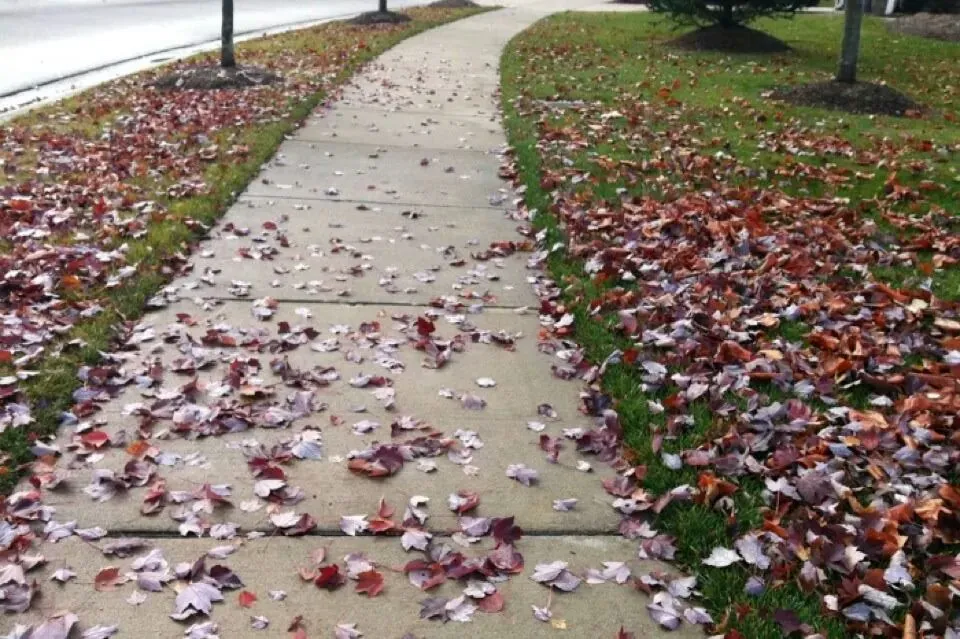 IMG_266839811199262 (1).jpeg