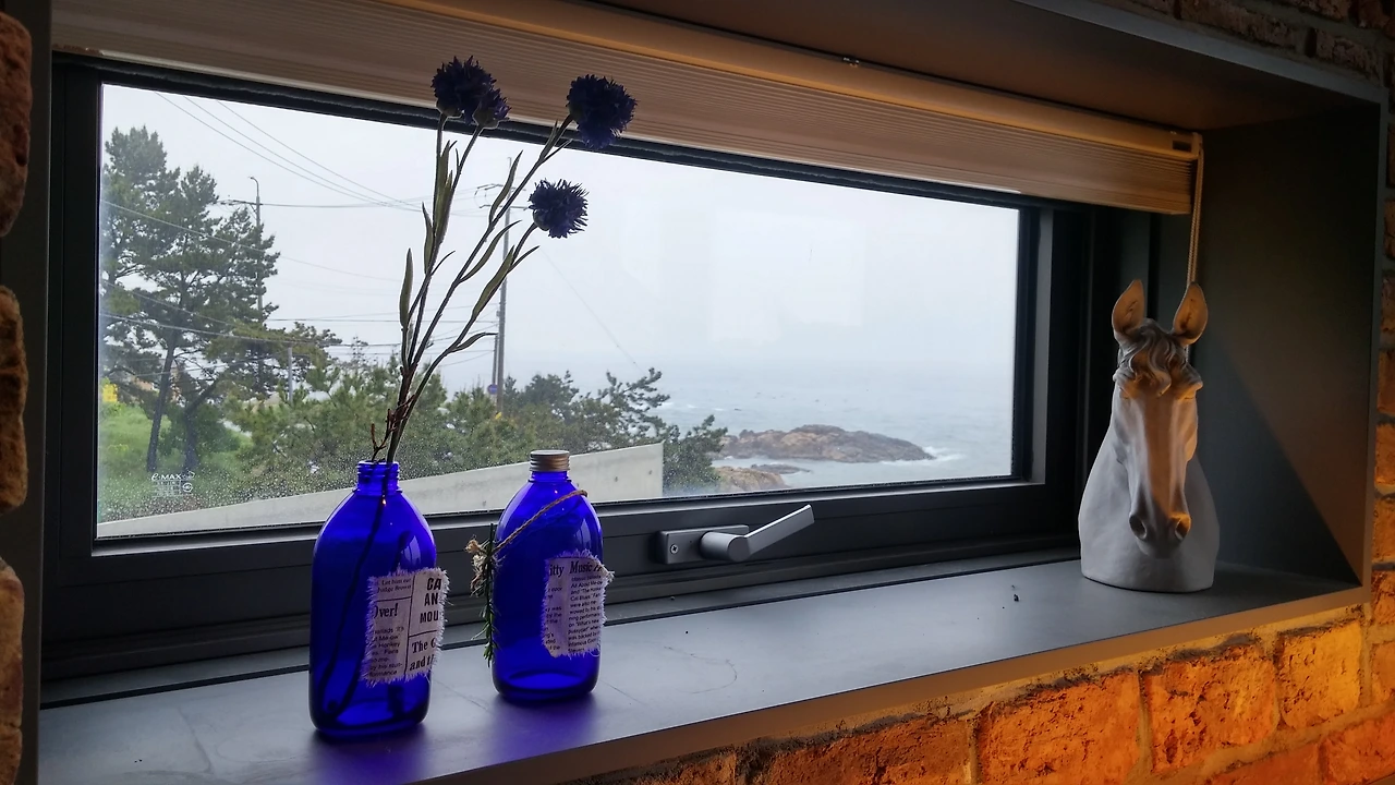 20150503_143937_HDR (1).jpg