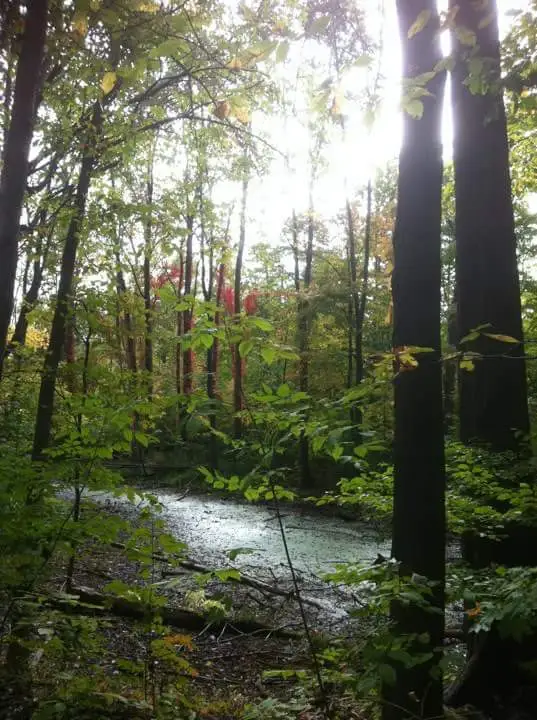 FB_IMG_1441514780992 (1).jpg