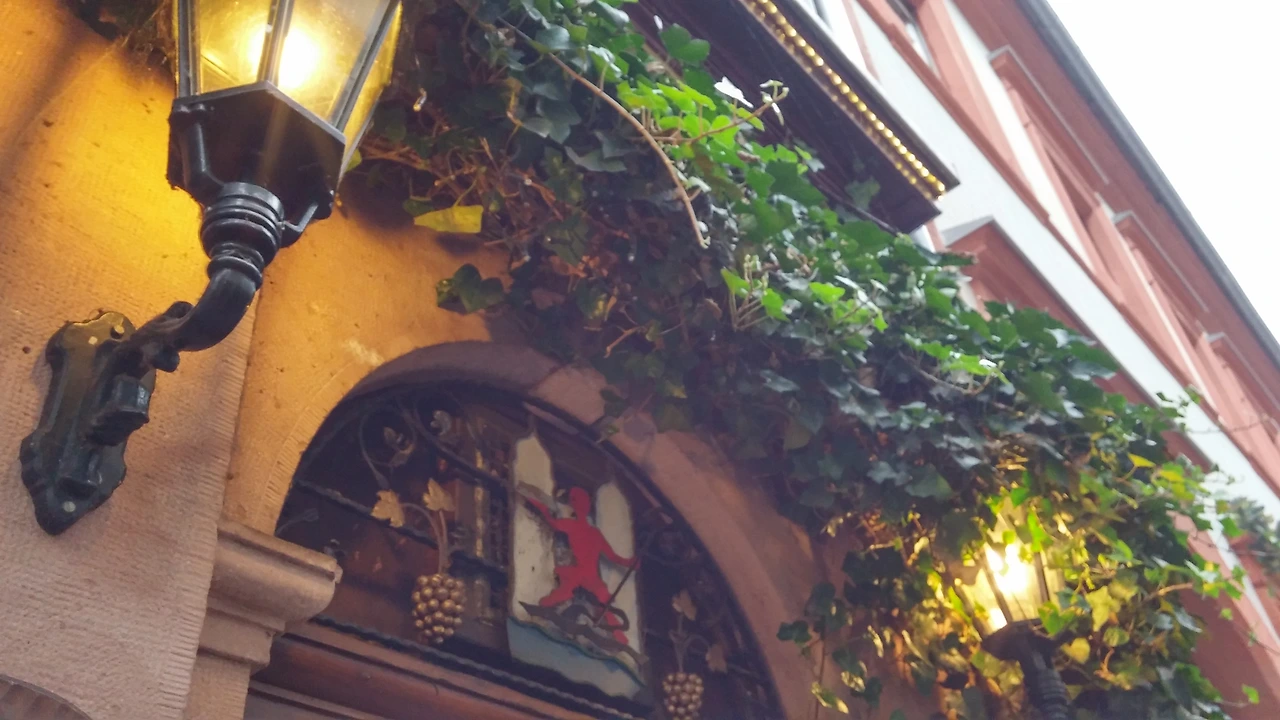 20151014_095525_HDR (1).jpg