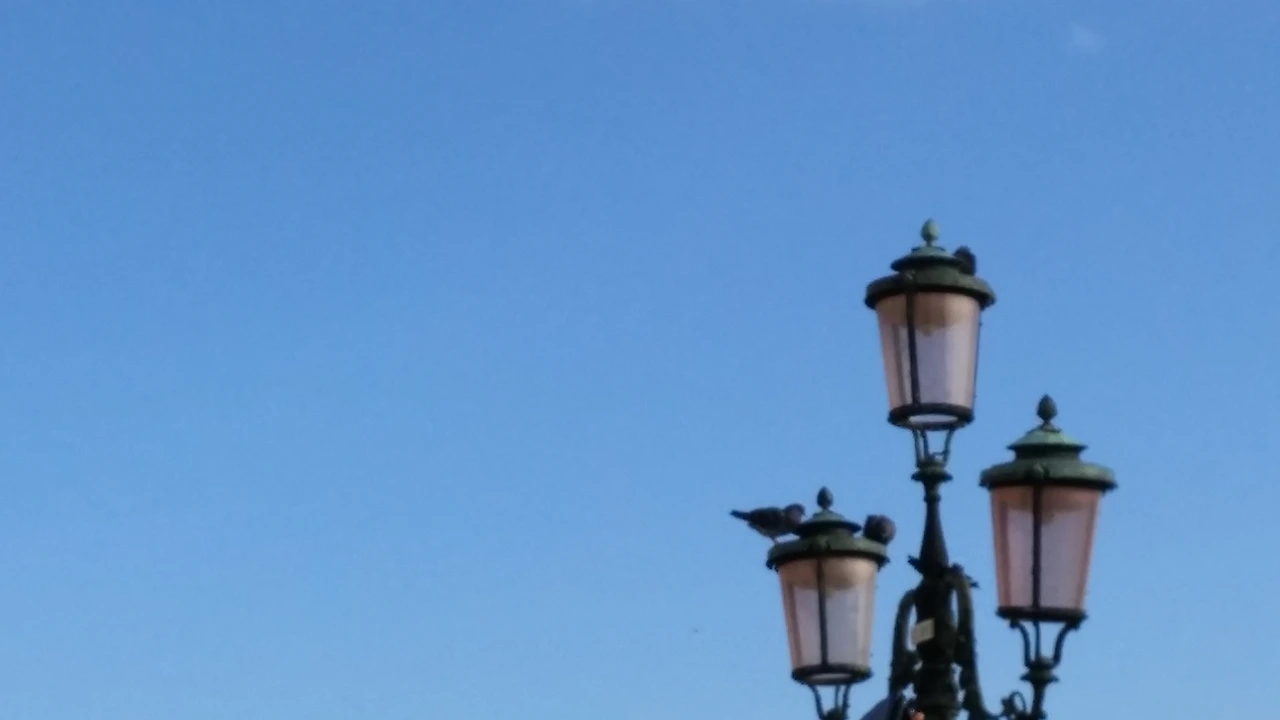 20151015_154310_HDR (1).jpg