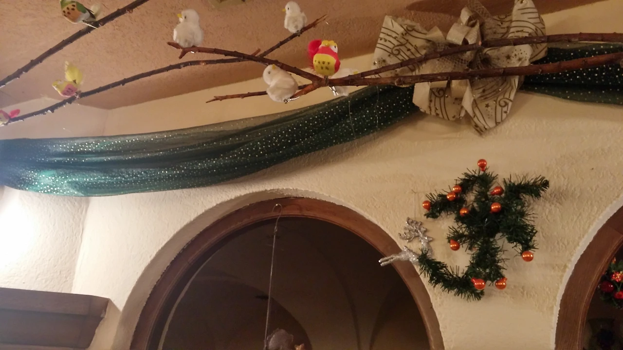 20151014_203013_HDR (3).jpg