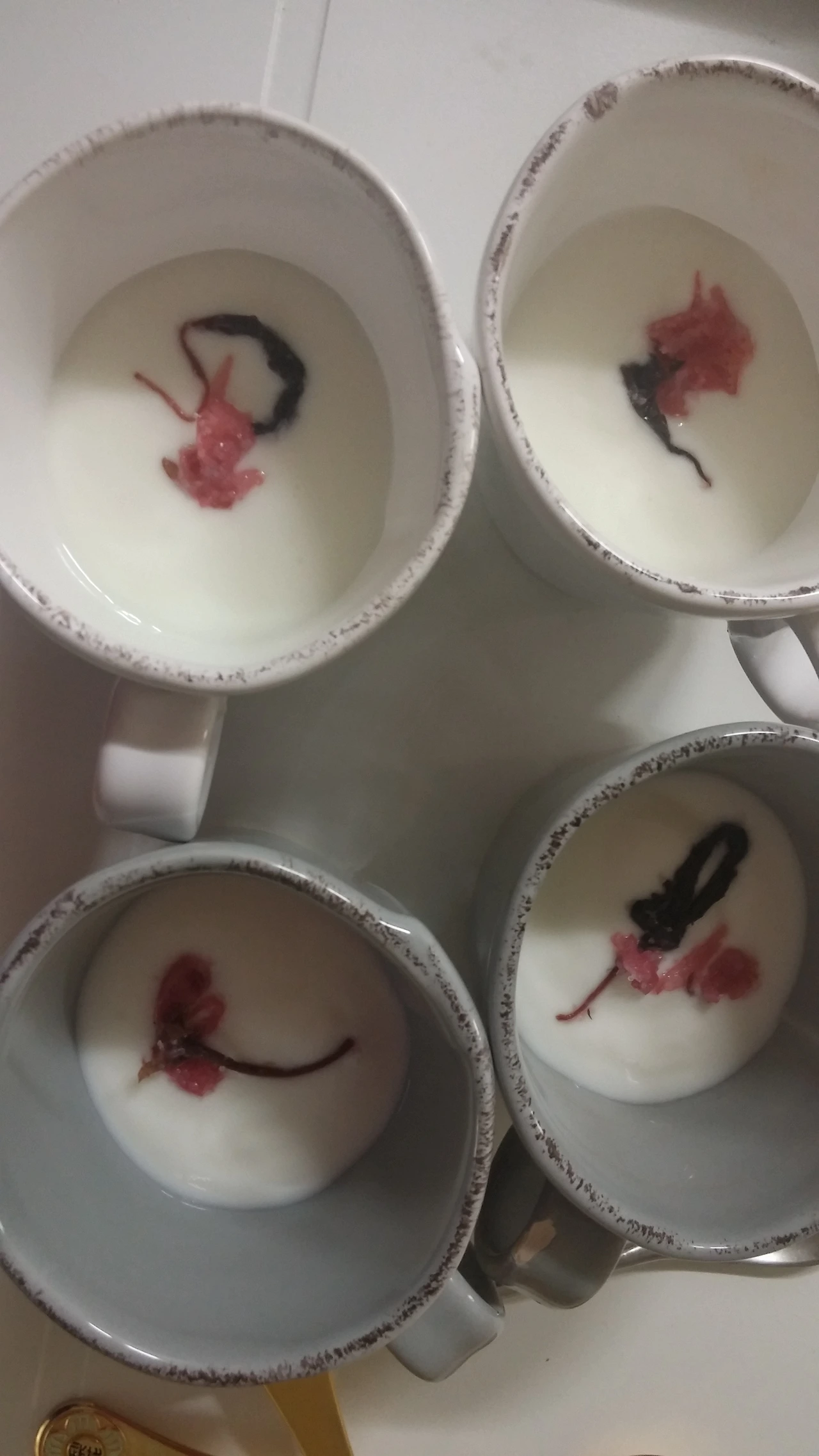 20150522_104137_HDR (2).jpg