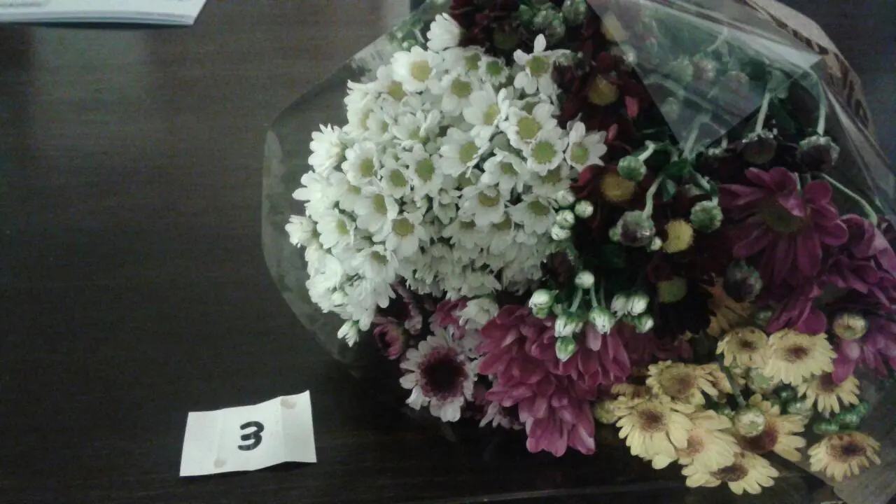 BandPhoto_2015_09_06_12_18_19 (3).jpg