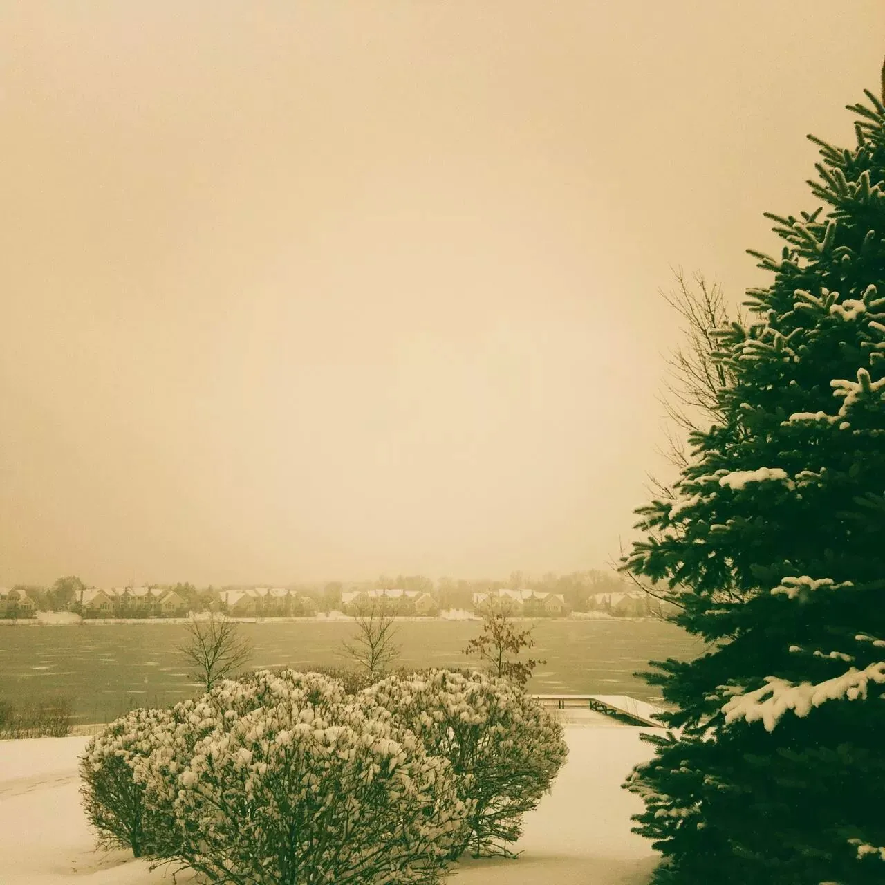 IMG_19074325478083 (1).jpeg