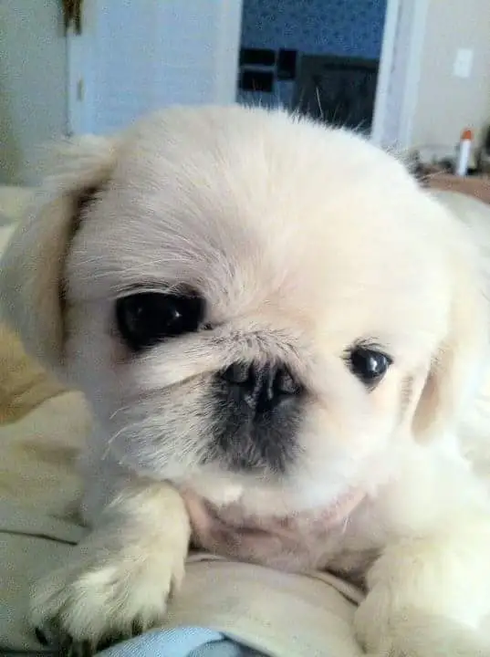 FB_IMG_1441514764904 (3).jpg