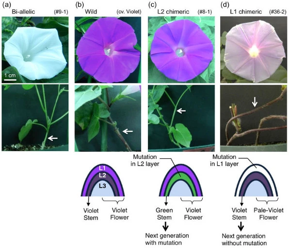 9971643359DA1DC1247A55