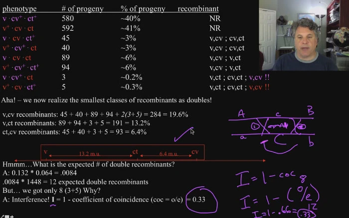 220862425624CAD51EF5D6