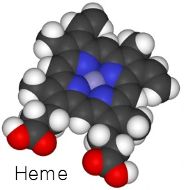 255A543856CE896B239FB3