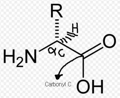 24182F385674F79B2E7263