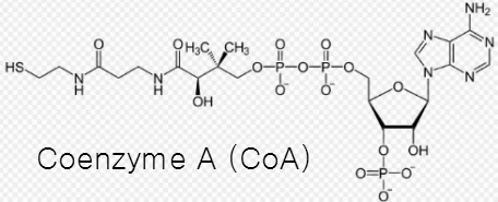 266D9F3556CE7F23222F40