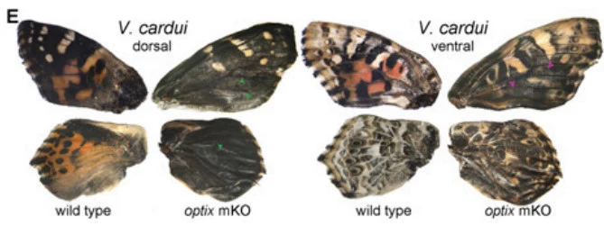 9916C9335A0AD51C3FA117