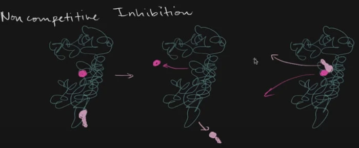 2528313356CAC2B1312CC7