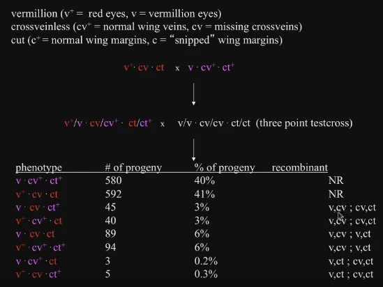 260C714C5625268D0810C0