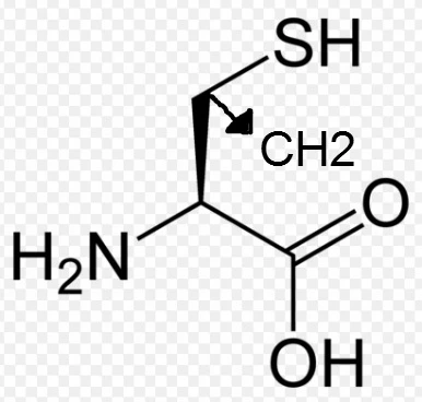 215C6342567584BD11BCD3