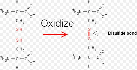 2262F4445675854F0B18CA