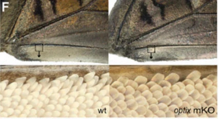 99021A335A0EAC922126D8