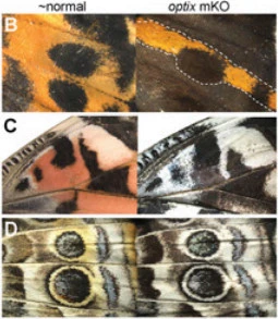 9975BC335A0AD4751F8E4F