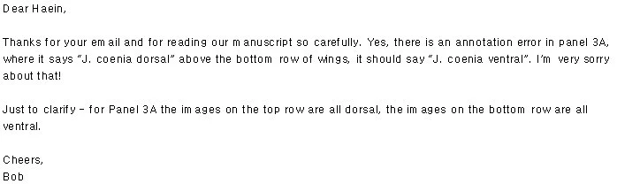 999541335A0EBDB82DDD01