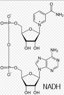 2263413656CE7F782973CA