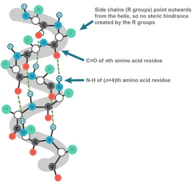 2177B43C5694641A0BCE9B