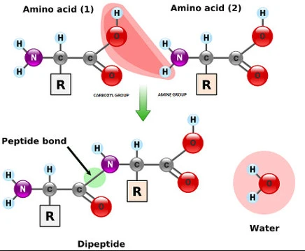 2760B1455674E668205A1A