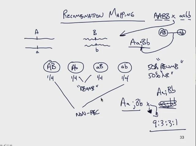 2414CF425624CACC11251A