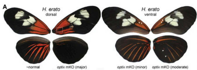 990A79335A0989CA320232