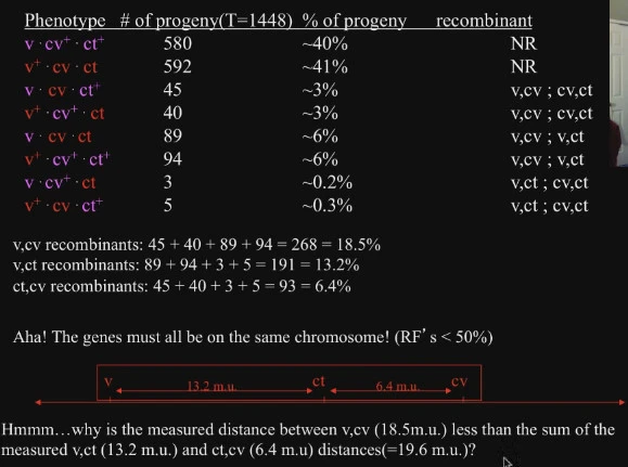 250C934C5625268F082F04