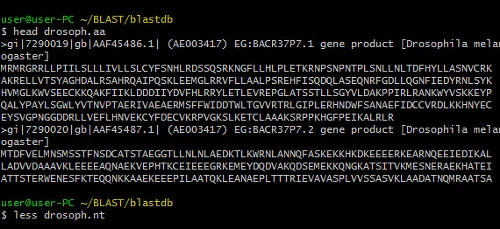 993B553A5AA1E5D93807C4