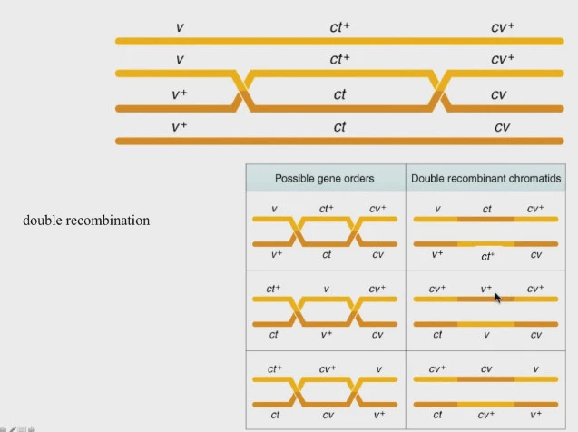 235BFE4C5625268C2E696A