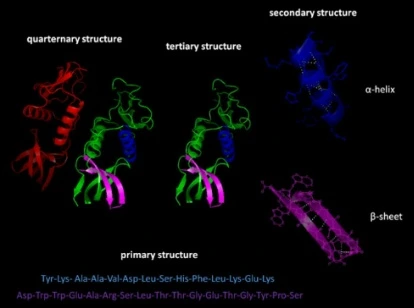 221FA83F56945C6E0947DC