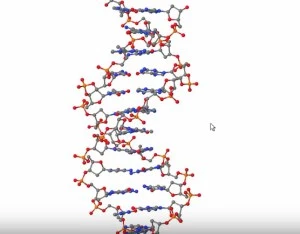 lecture2_4.jpg?w=300