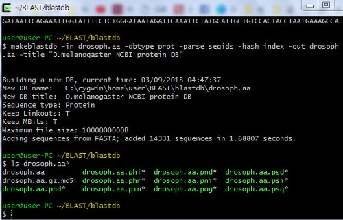 99563D3F5AA21308203633