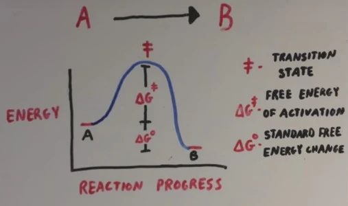 240A8F4056CA703E20E3EF