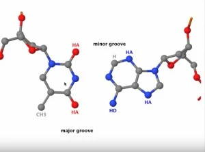 lecture2_3.jpg?w=300