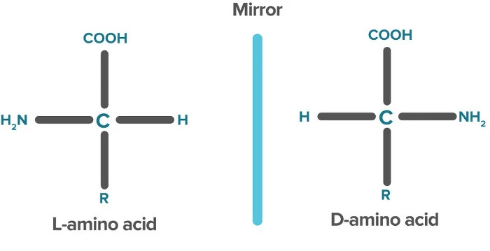 220B843A568DBB2C0BE609