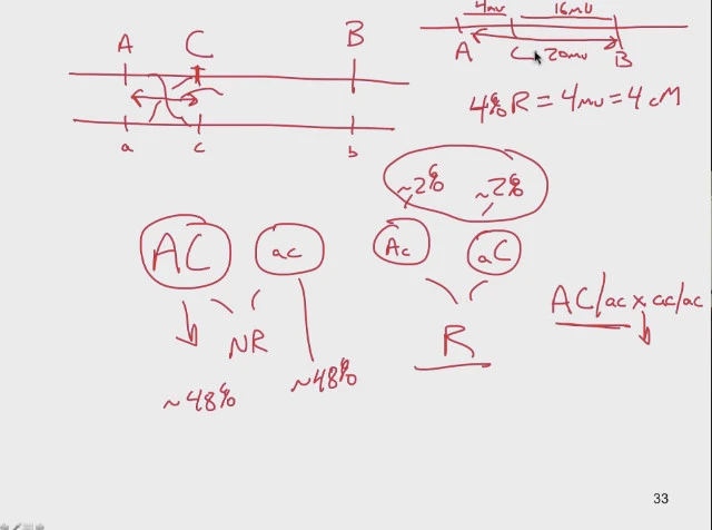 267613425624CACE30CB4C