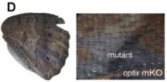 99D201335A0EAA0427D7A6