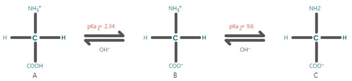 2226CA42568DC75B238426