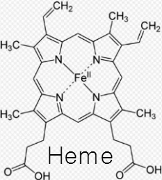 2772D63A56CE89CB27DF81