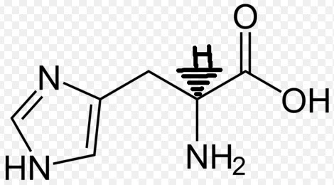 264372425674F6D30A54E4