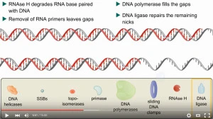 lecture3_2.jpg?w=300