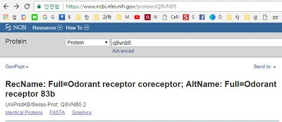 99B7254C5AA21E171F9590