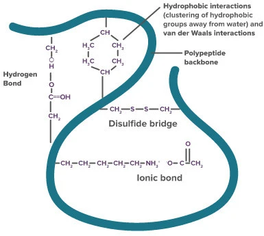 2667724D5695CCCE0553CA